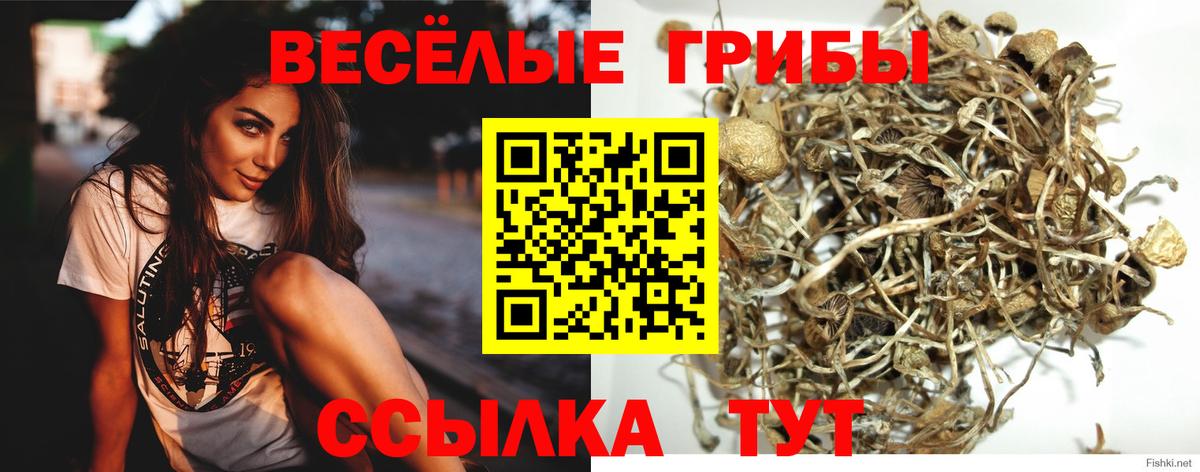 Галлюциногенные грибы прущие грибы Комсомольск-на-Амуре
